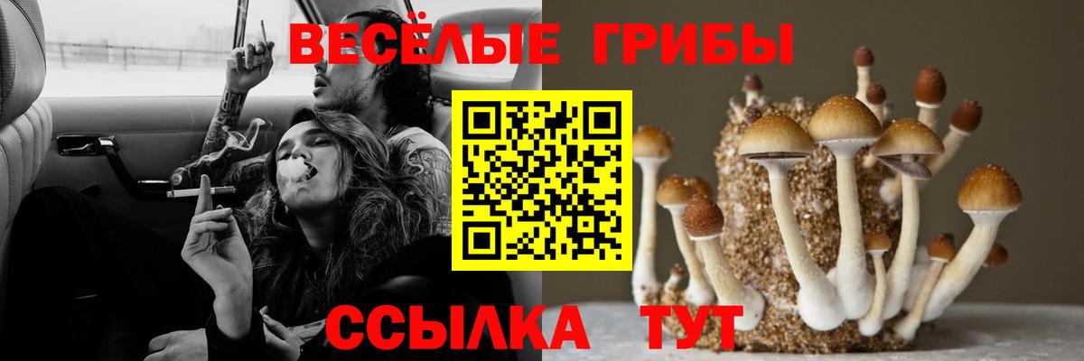 Псилоцибиновые грибы мухоморы  Галлюциногенные грибы Cubensis  Ангарск  Вход с VPN 